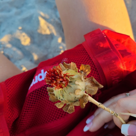 Meet your Posher, jane - Picture 1 of 1